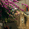 Centro storico di Capri