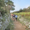 Monte Solaro - Cetrella