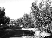 Un viaggio senza tempo alla marina di Novaglie