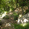 The Philosophical Park