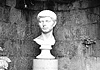 L'alloro magico di Virgilio
