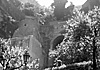 L'alloro magico di Virgilio