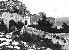 Cetrella d'inverno