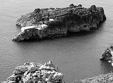 Quell'odore di rag� sull'isolotto d'Isca