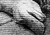 E l'uomo cre� i mostri marini