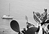La Perla Nera del Mediterraneo
