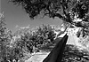 Gli alunni del sole nel mito di Capri