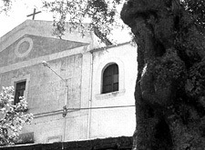 Tra gli ulivi di Vatolla l'amore segreto di Vico per Giulia
