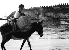 Il golfo incantevole sulla costa sud dell'Elba