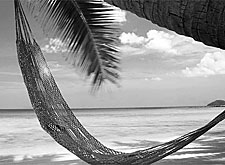 Le pi� belle spiagge del mondo scoperte da un veneto a Camocin