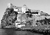 Il rinascimento di Ischia