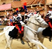 Enjoy the Palio experience!