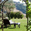 Tenuta di Canonica, Perugia - Umbria