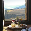 Tenuta di Canonica Todi