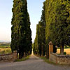 Locanda dell'Amorosa Sinalunga