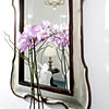Aiano Bed & Breakfast Capri