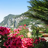 Soleluna Capri