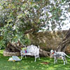 Tenuta Cammarana Ragusa