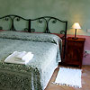 Il Quinto, Maremma - Tuscany