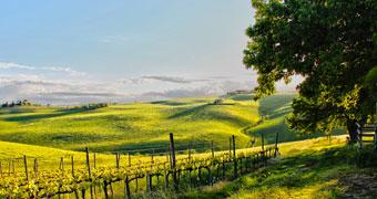 Fattoria Forano Appignano Fermo hotels
