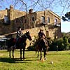 Fattoria del Baccinello Roccalbegna